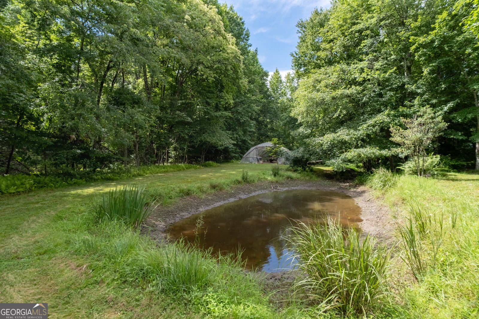 215 Dunn Mill Creek Road Blue Ridge - Photo 54