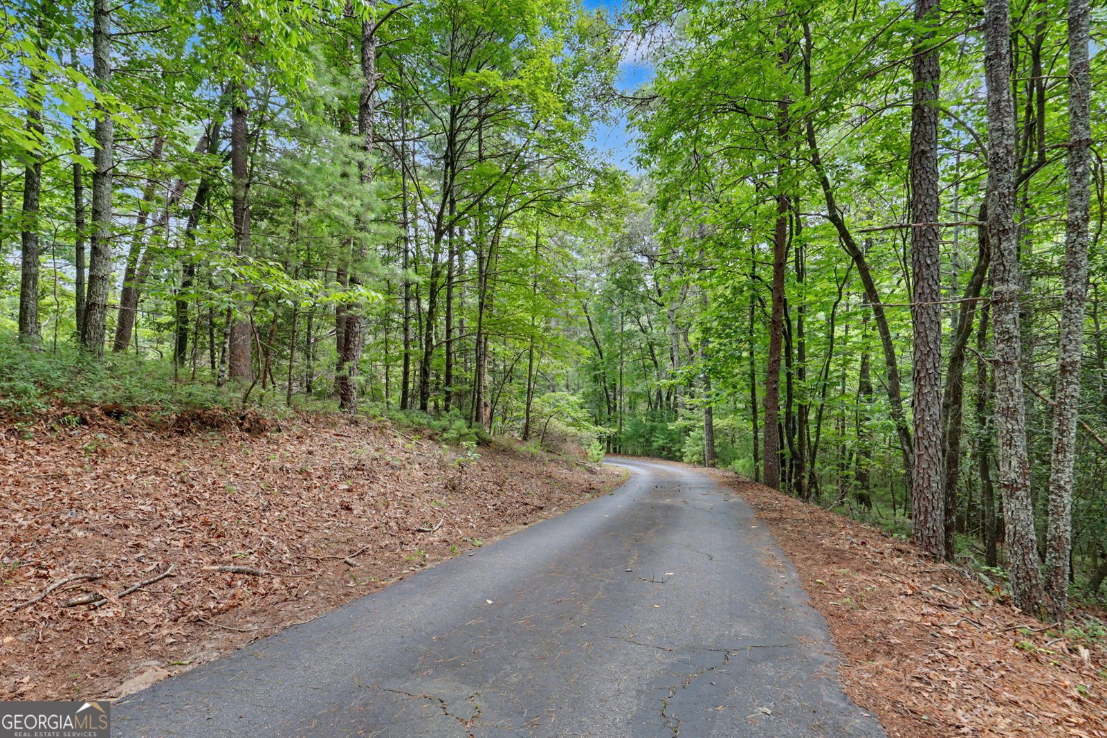 1252 Worley Creek Road Lakemont - Photo 60