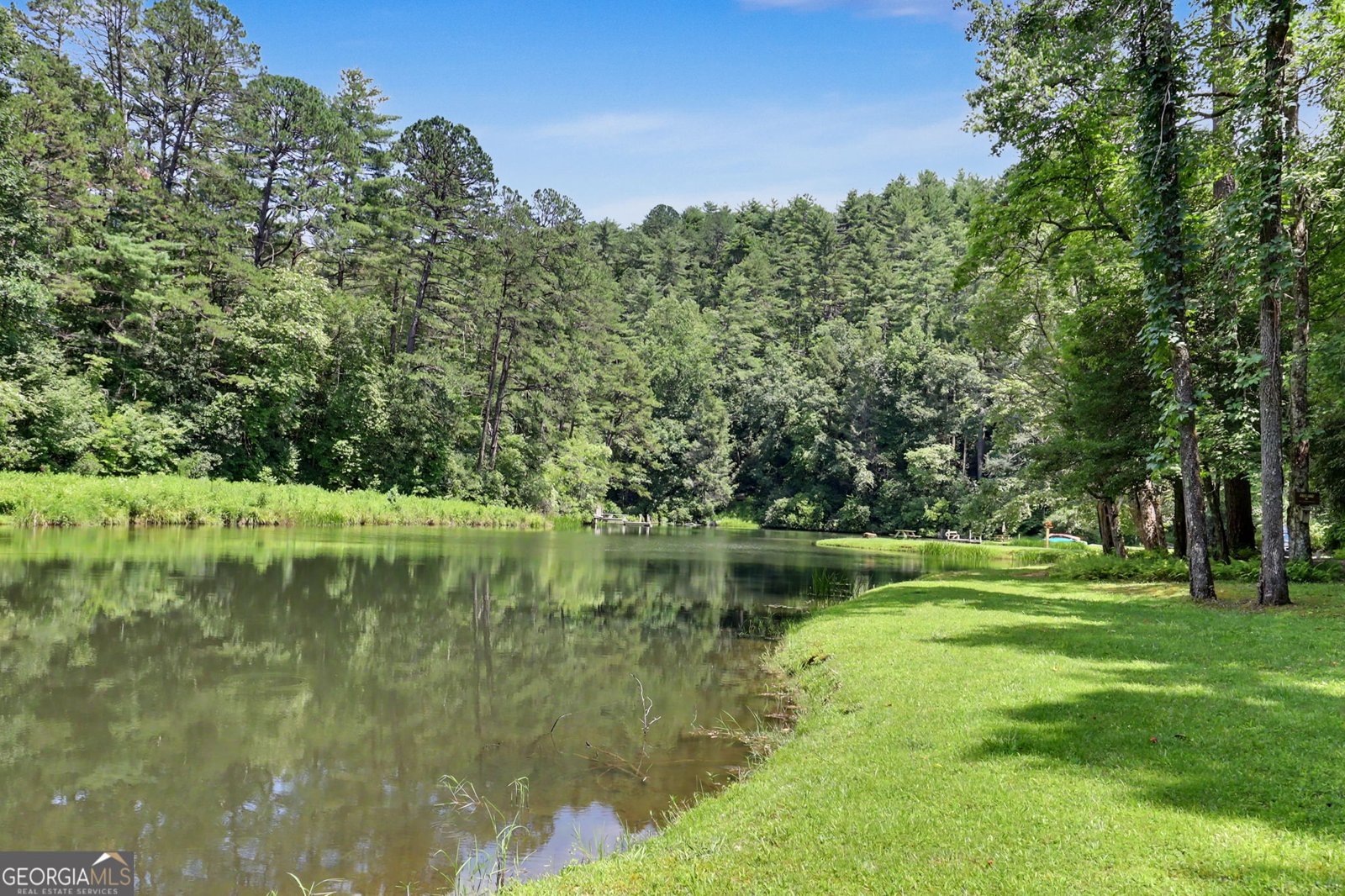 1252 Worley Creek Road Lakemont - Photo 64
