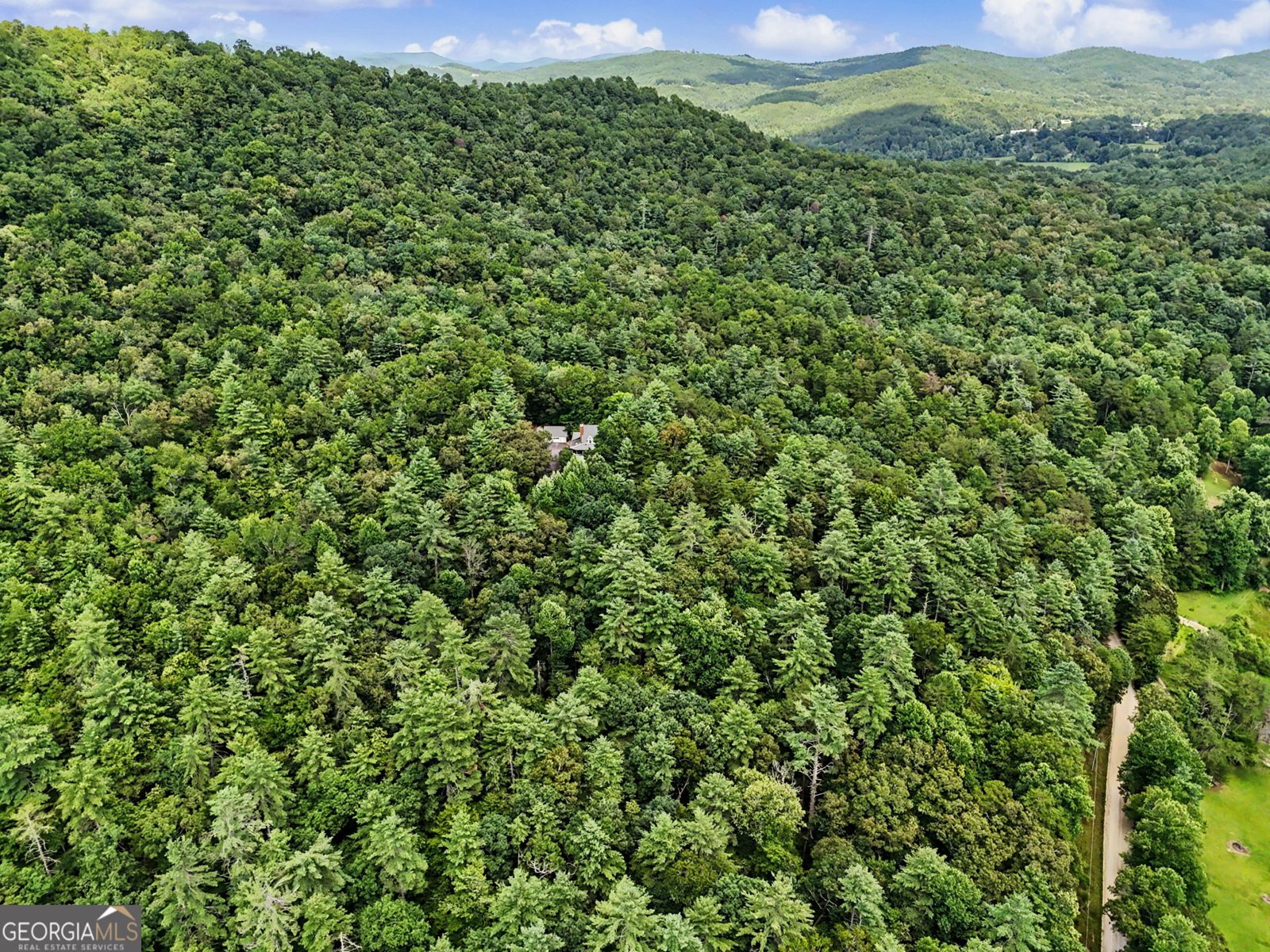 1252 Worley Creek Road Lakemont - Photo 68