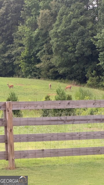 230 Bluff Mill Farms Drive Senoia - Photo 10