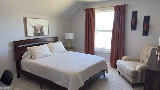 230 Bluff Mill Farms Drive Senoia - Photo 39