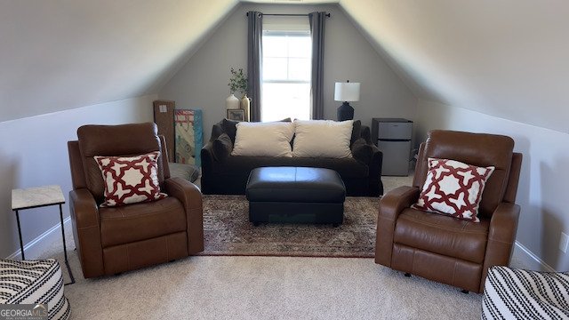 230 Bluff Mill Farms Drive Senoia - Photo 40