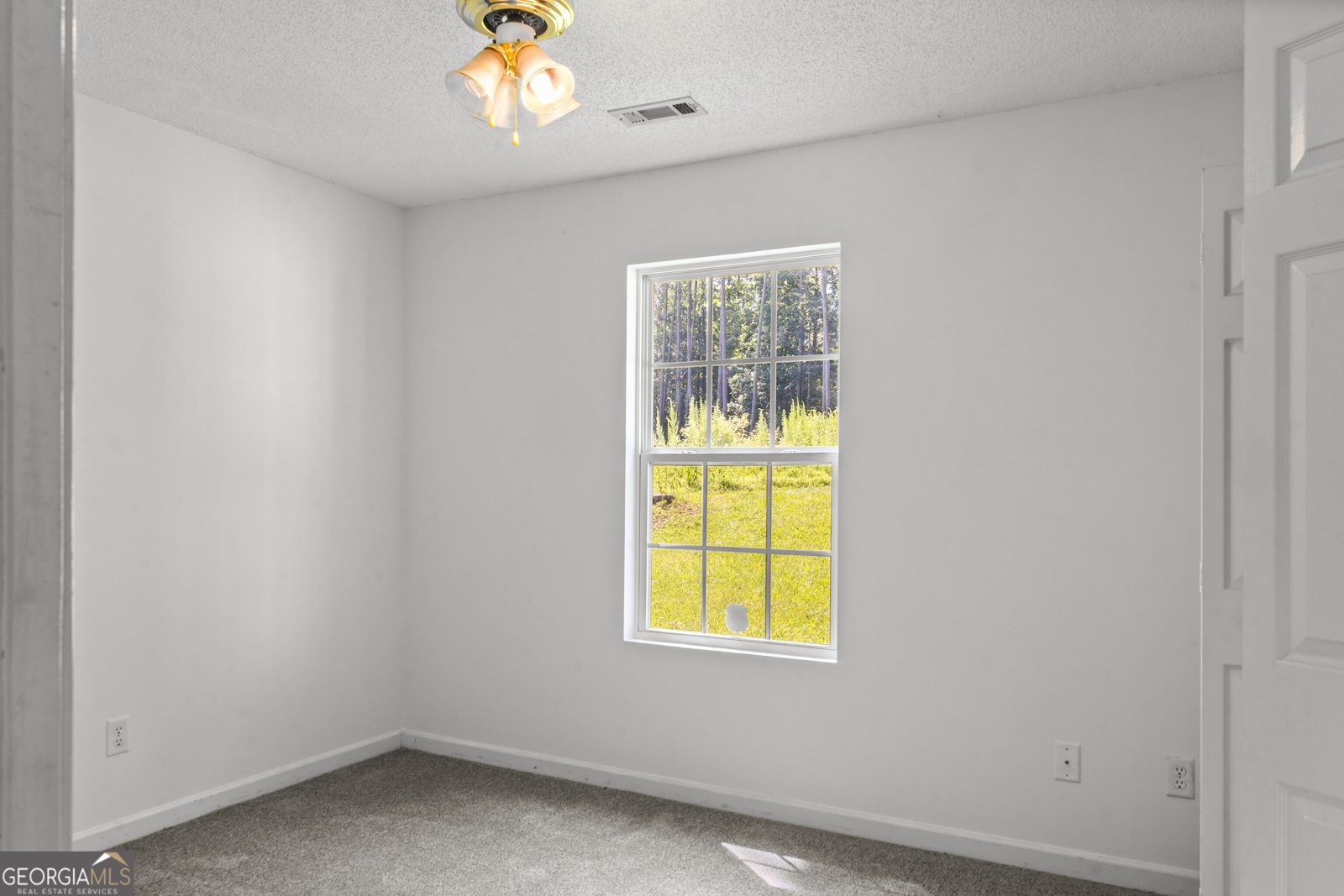 178 Sims Road Hogansville - Photo 16