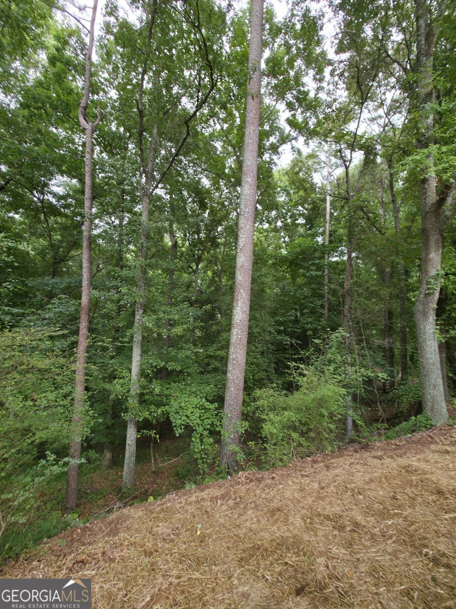 160 Williamsburg Way Winder - Photo 23