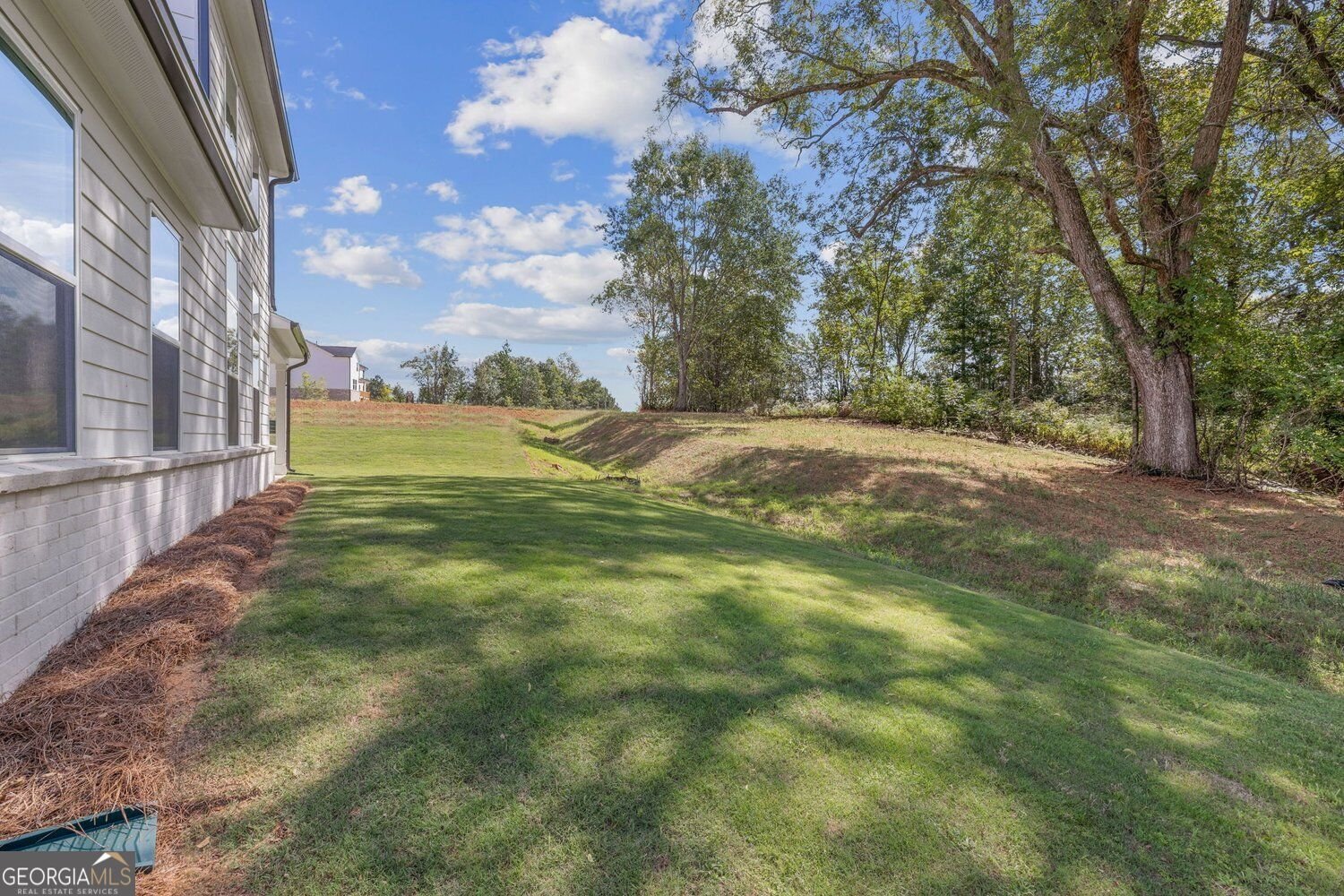 328 Bailiwick Lane Canton - Photo 31