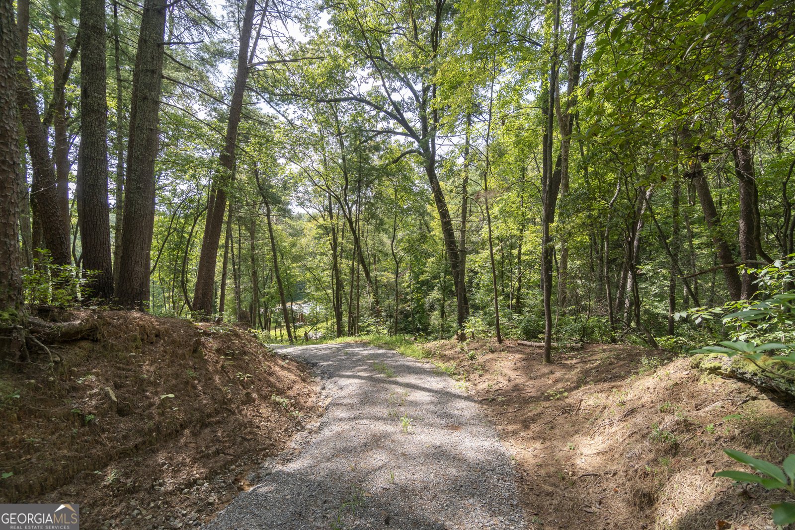 7869 Highway 75 Alt Helen - Photo 60