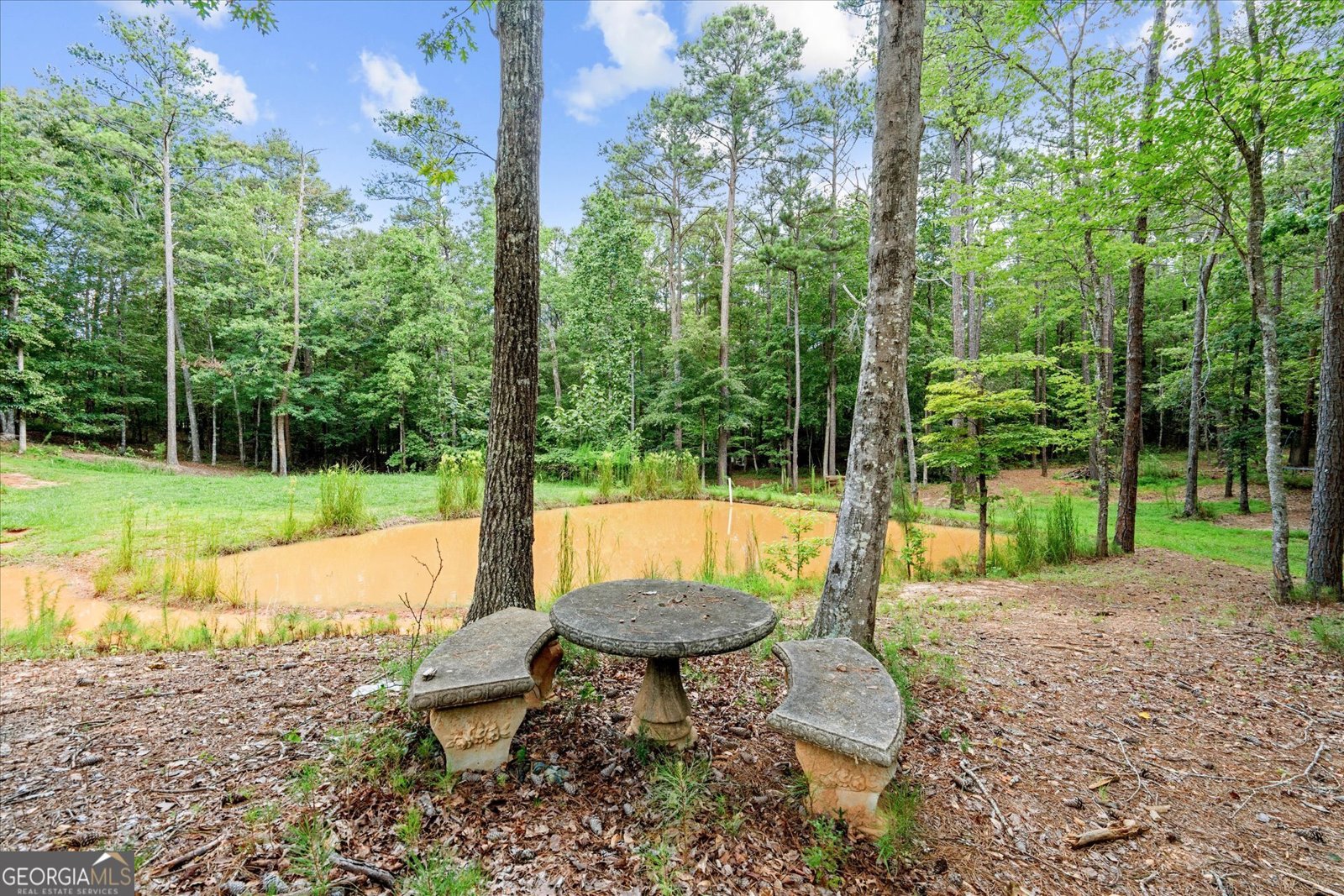 9790 Court Lynn Lane Winston - Photo 46