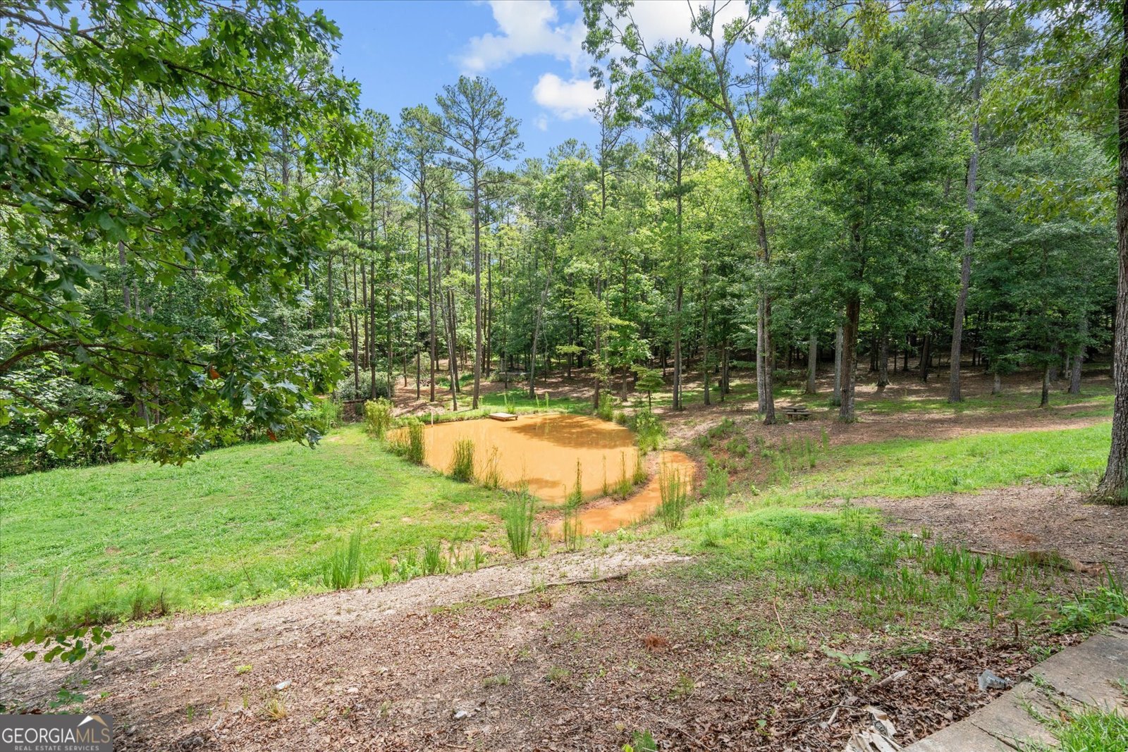 9790 Court Lynn Lane Winston - Photo 48