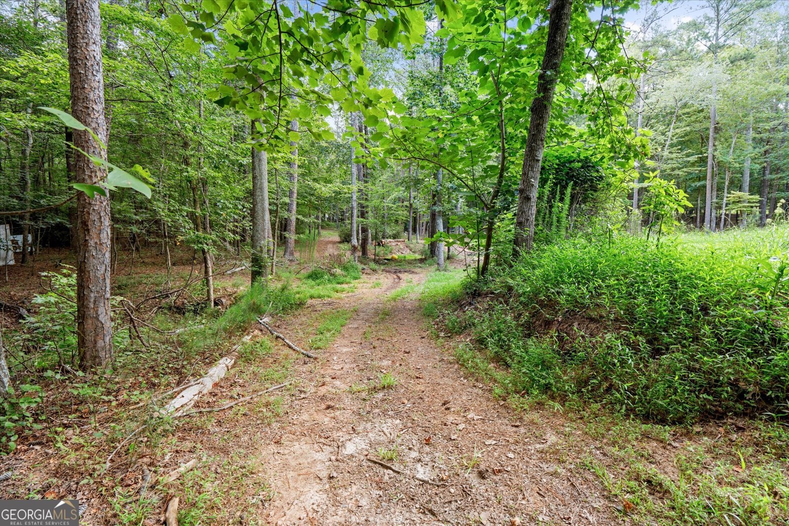 9790 Court Lynn Lane Winston - Photo 49