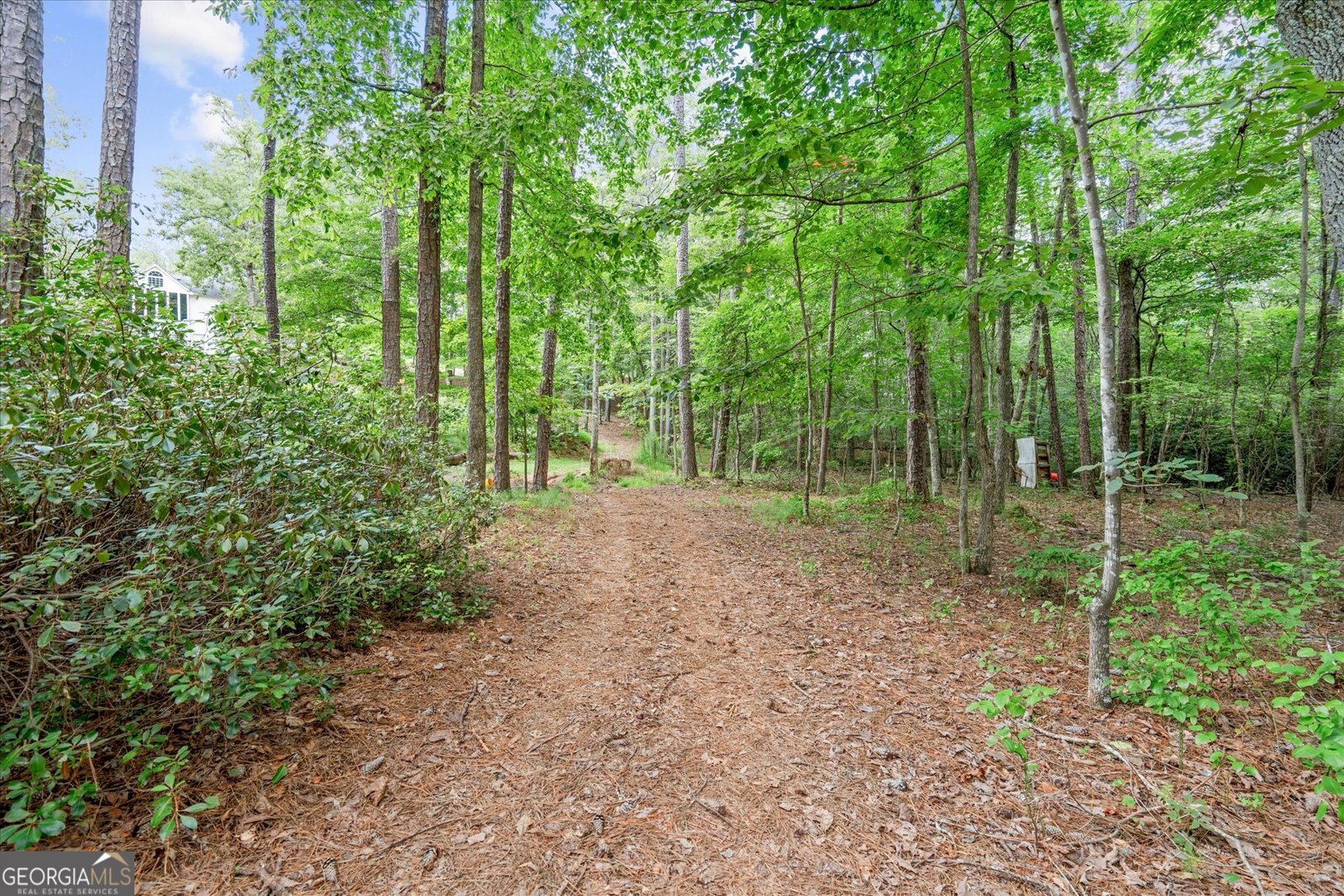 9790 Court Lynn Lane Winston - Photo 50