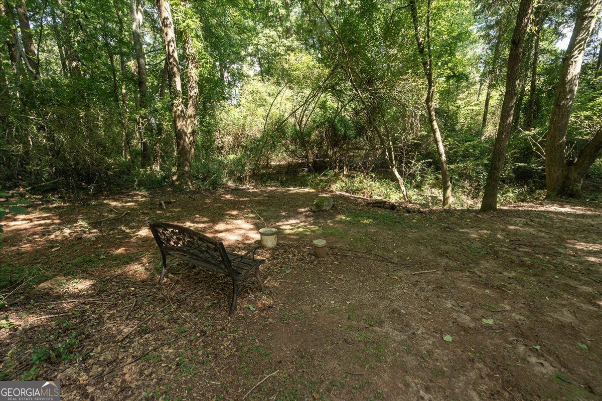 1517 Grove Brook Lane Watkinsville - Photo 79