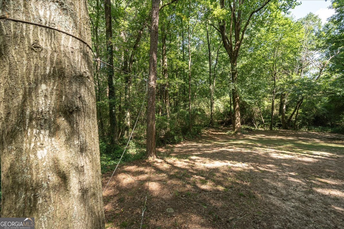 1517 Grove Brook Lane Watkinsville - Photo 82