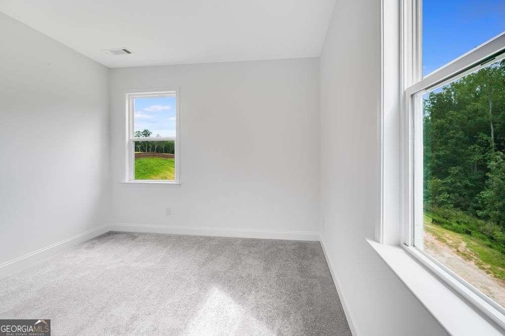 8845 Chesford Grove Ball Ground - Photo 14