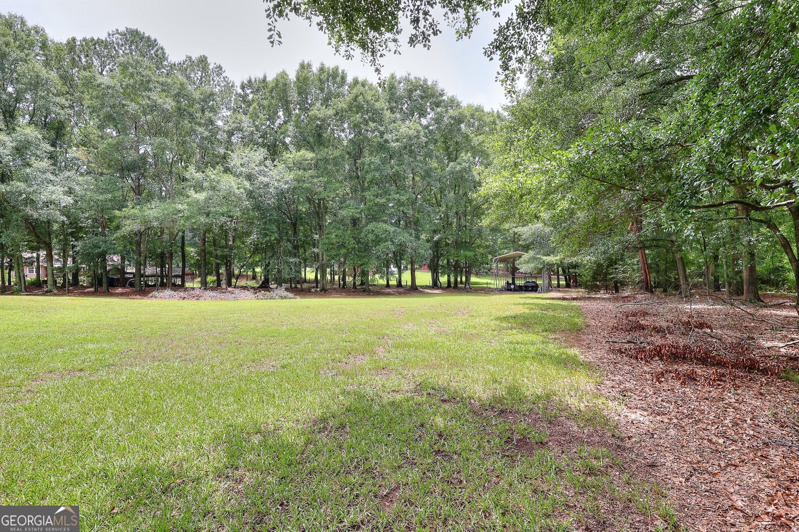 3079 Meadow Trail Loganville - Photo 27