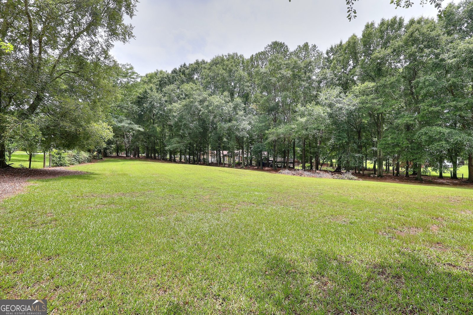 3079 Meadow Trail Loganville - Photo 29
