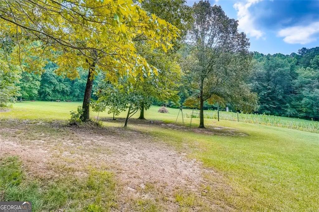 3397 Knox Bridge Highway Canton - Photo 16