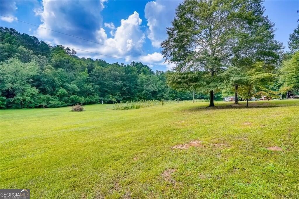 3397 Knox Bridge Highway Canton - Photo 19