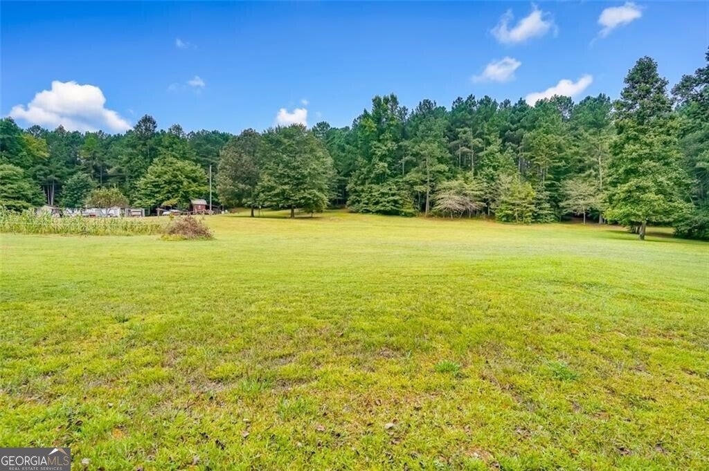 3397 Knox Bridge Highway Canton - Photo 22