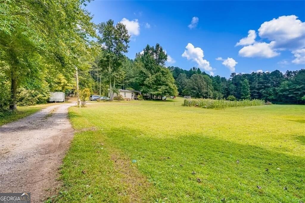 3397 Knox Bridge Highway Canton - Photo 24