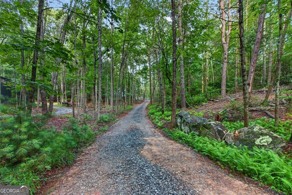 LOT 3C Stanley Creek Road Cherry Log - Photo 45