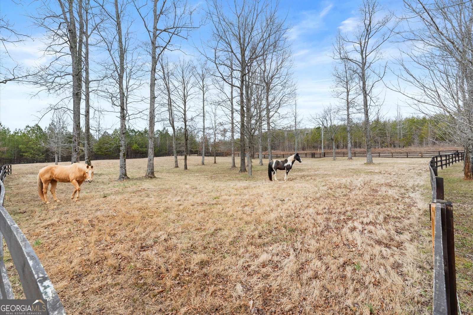 456 Valley Road Rydal - Photo 105