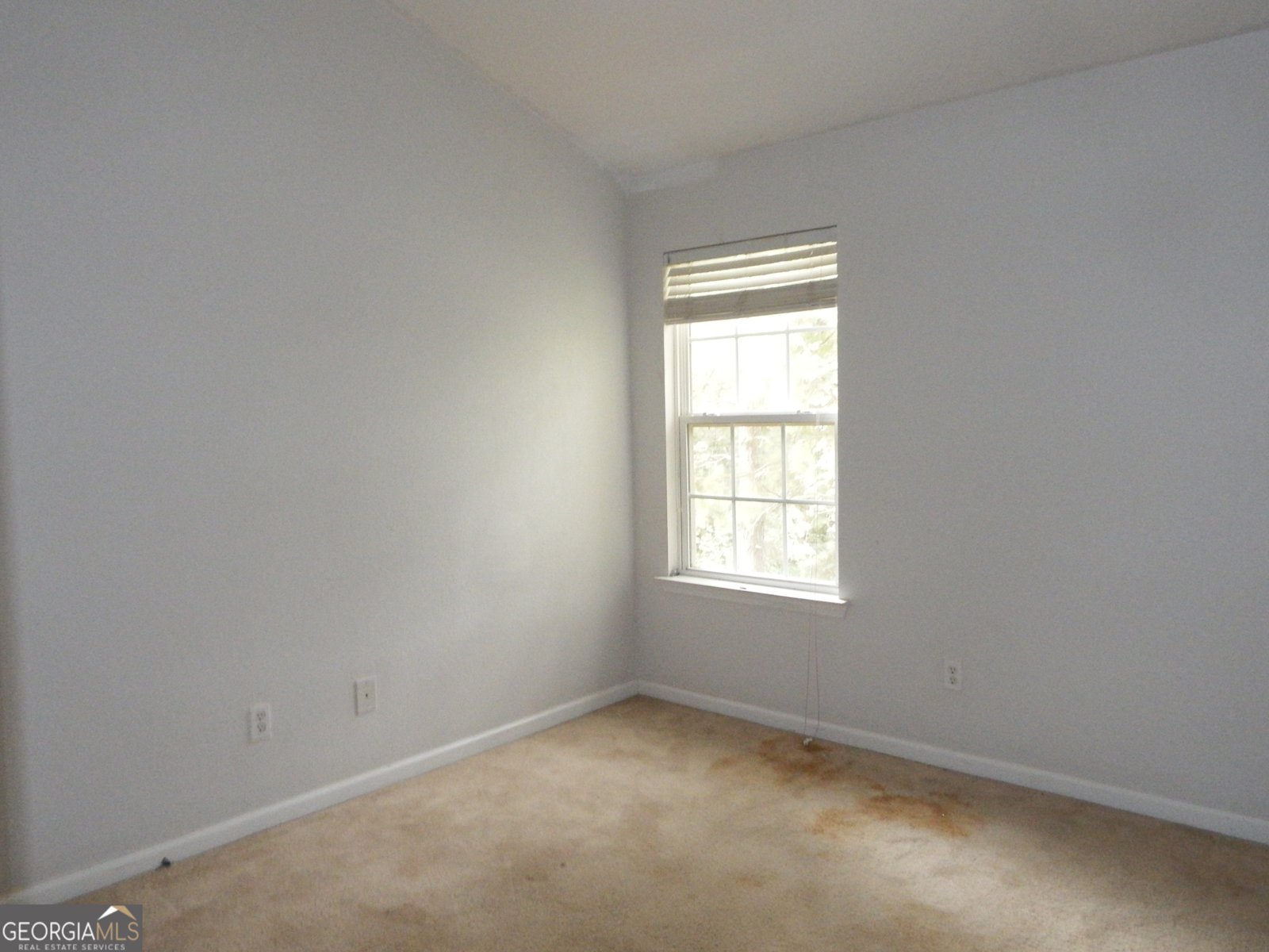 1540 Rogers Preserve Road Lithonia - Photo 9