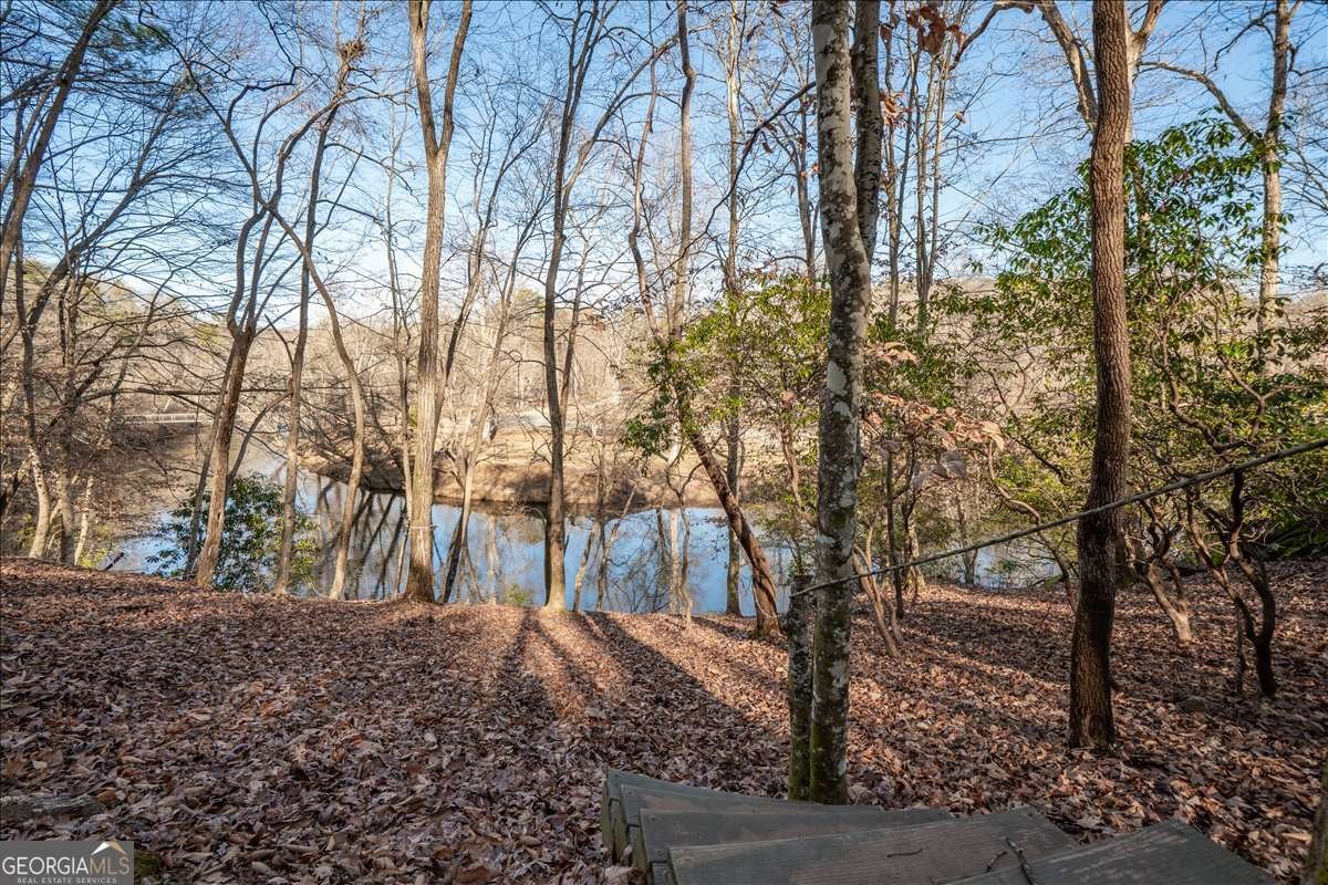411 Gunite Circle Ellijay - Photo 53