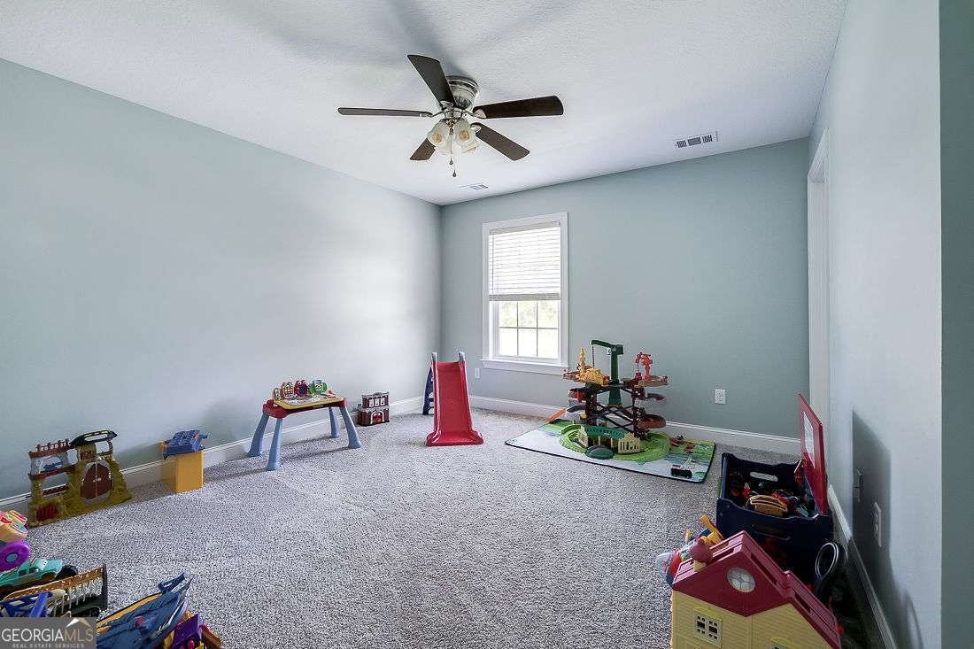 306 Polly Branch Drive Rincon - Photo 38