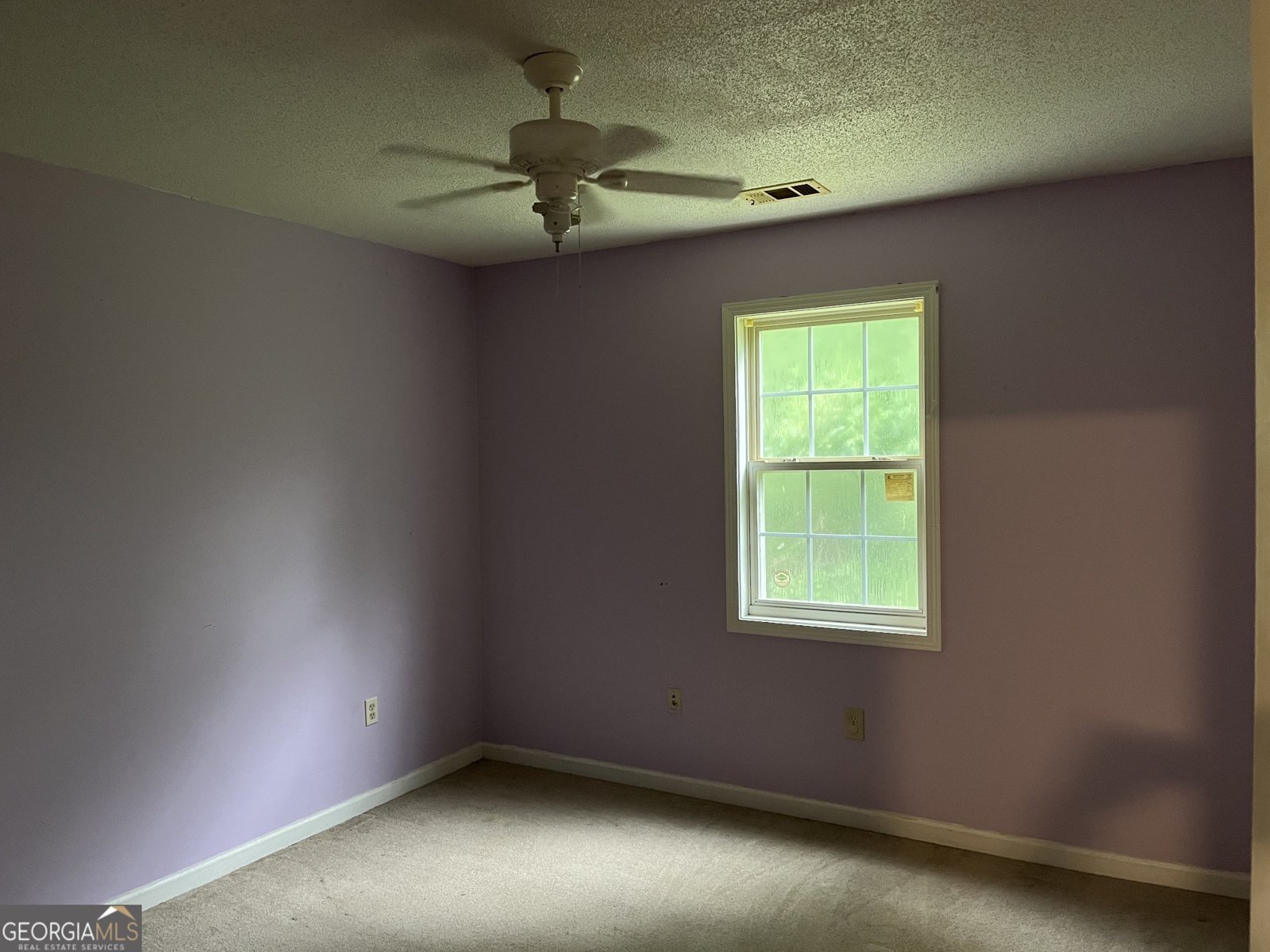 628 Ellis Church Road Haddock - Photo 13