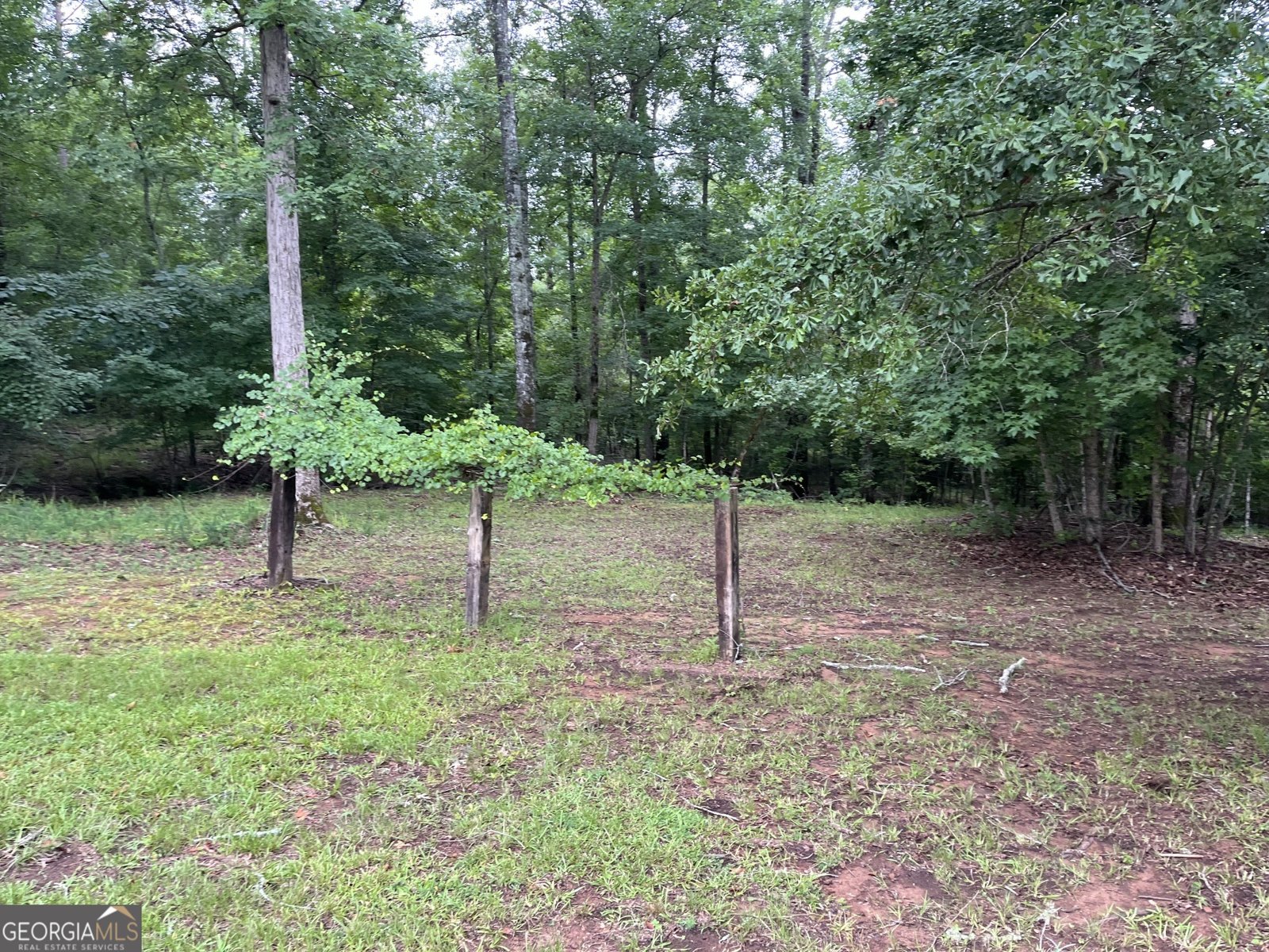 628 Ellis Church Road Haddock - Photo 26