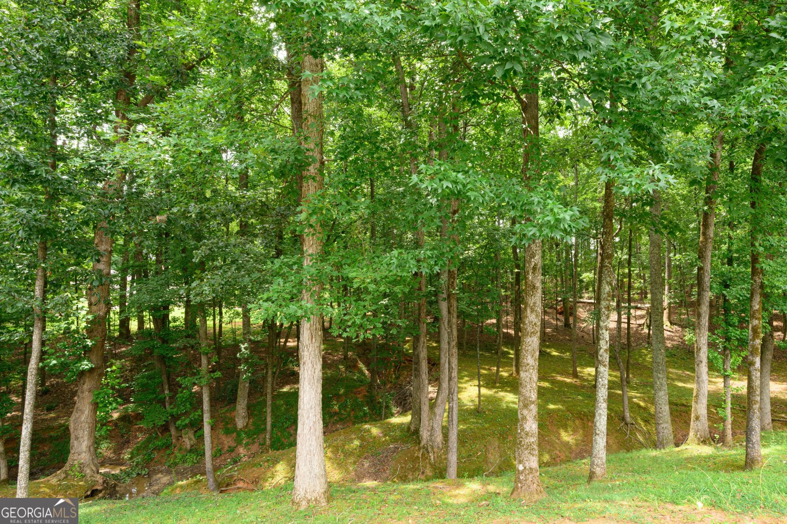 187 Cedar Ridge Road Locust Grove - Photo 31