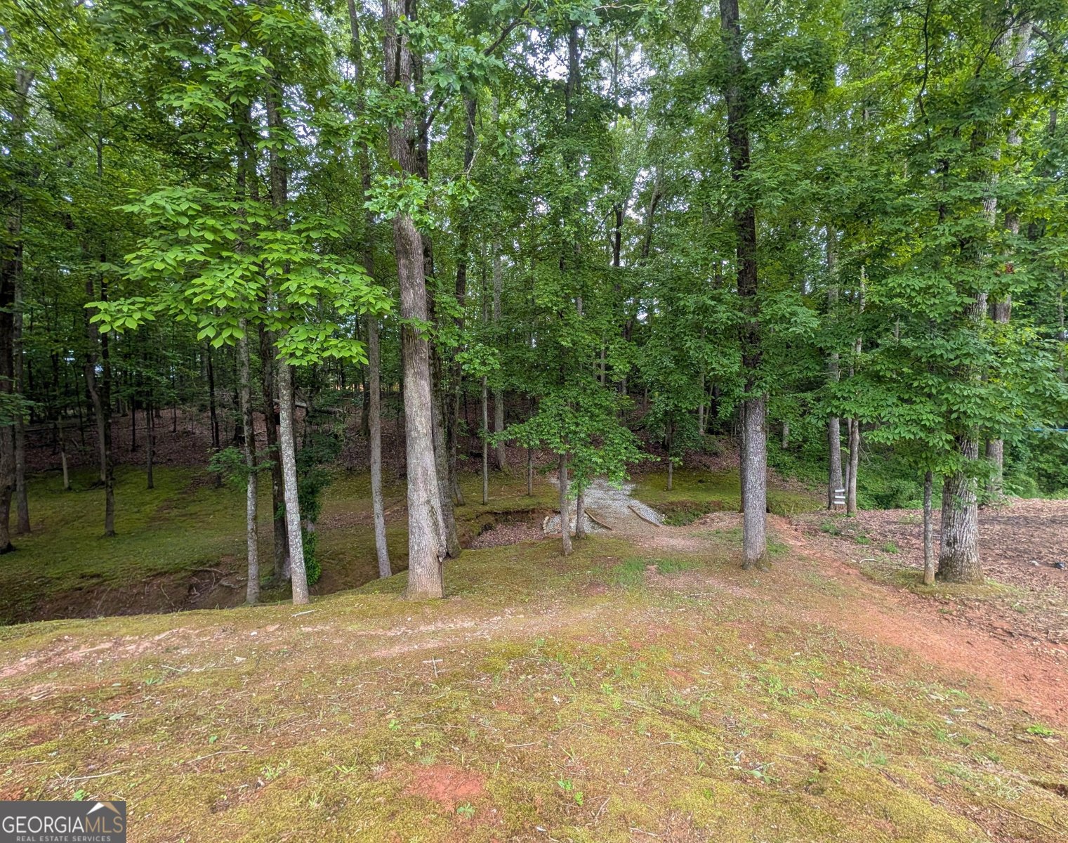 187 Cedar Ridge Road Locust Grove - Photo 32