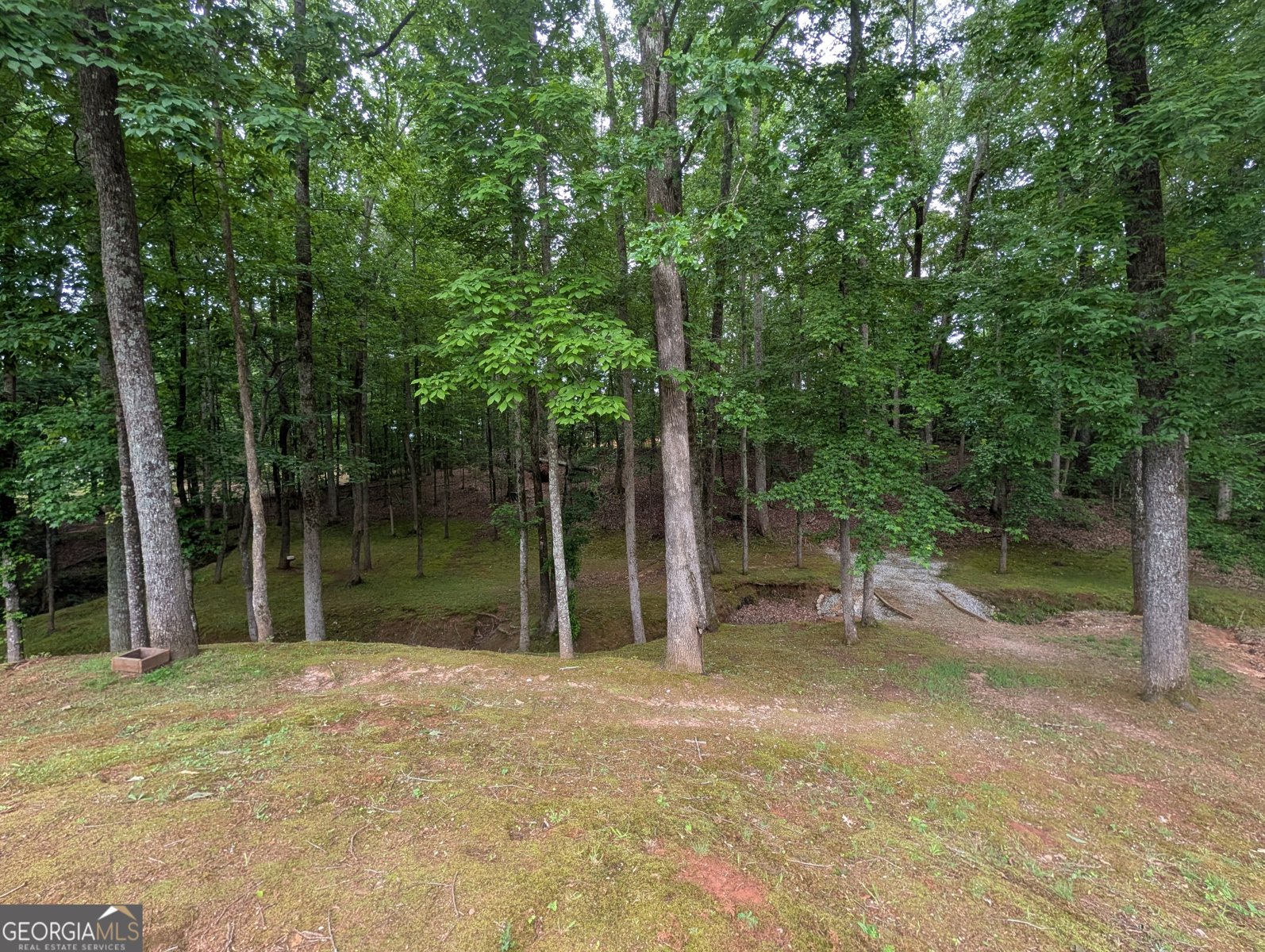 187 Cedar Ridge Road Locust Grove - Photo 33