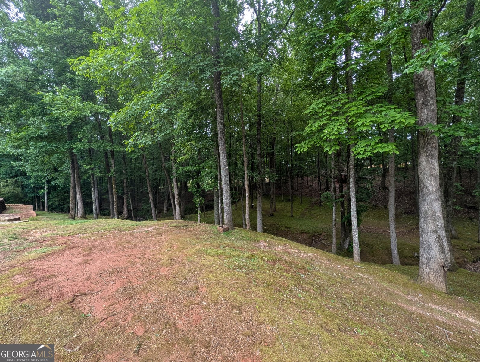 187 Cedar Ridge Road Locust Grove - Photo 34