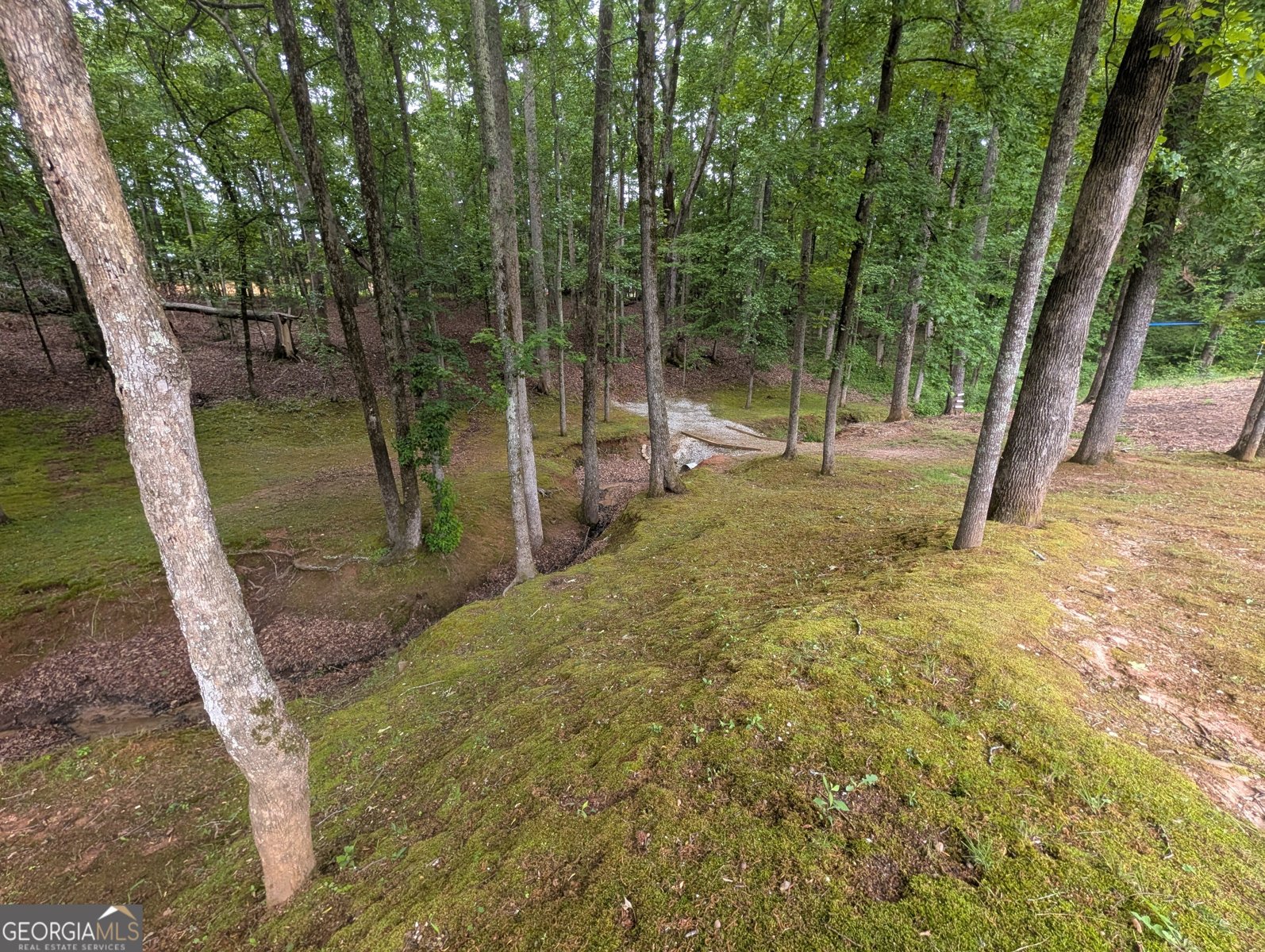 187 Cedar Ridge Road Locust Grove - Photo 37