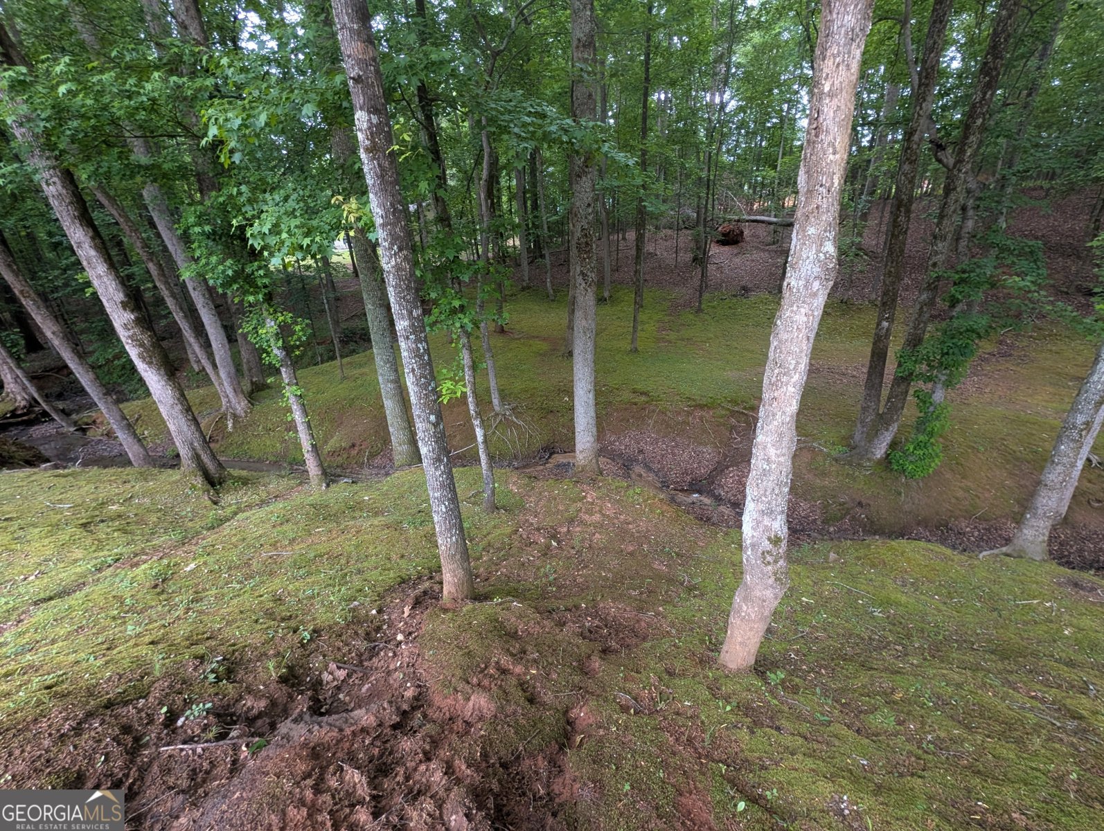187 Cedar Ridge Road Locust Grove - Photo 38