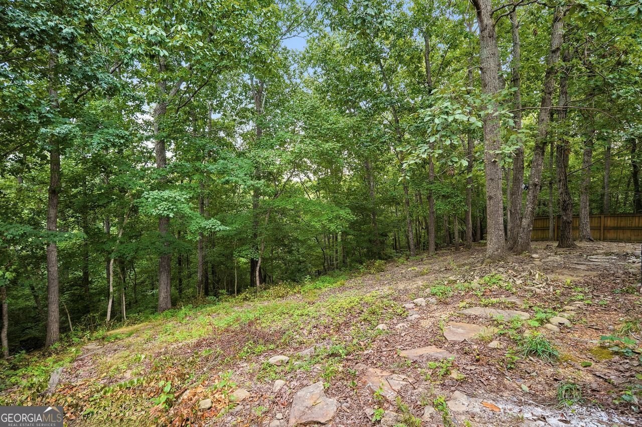 38 Sarahs Hollow Drive Rockmart - Photo 42