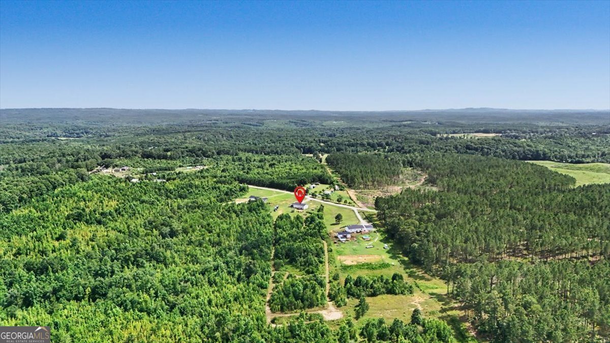 147 Edgar Bell Road Tallapoosa - Photo 47