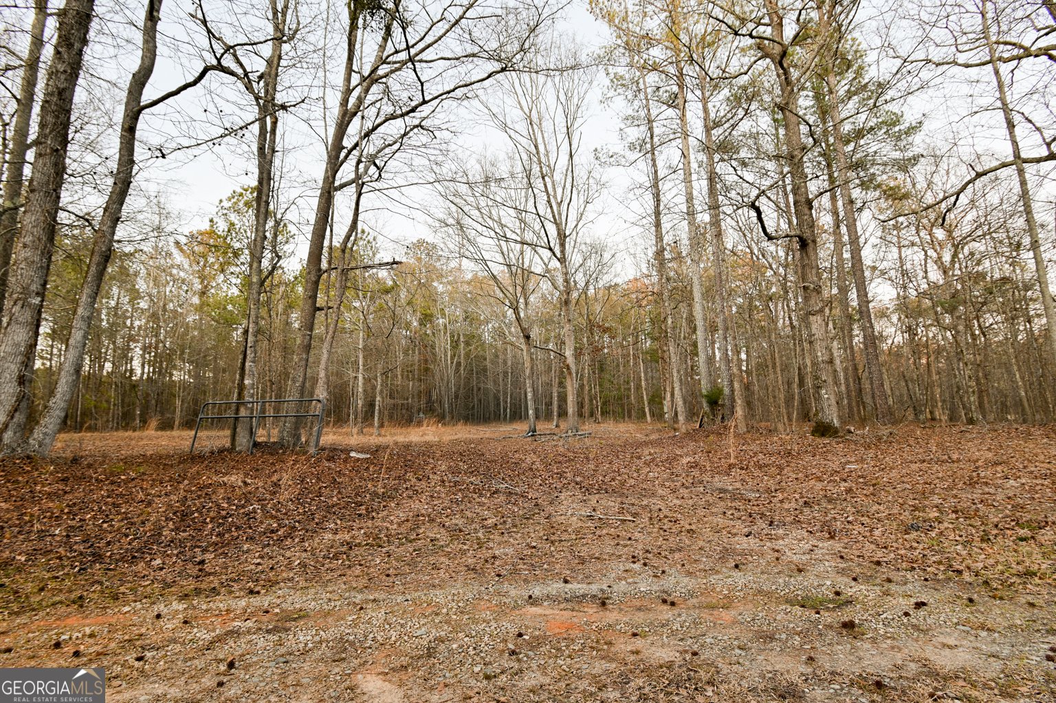 1208 Elberton Road Lexington - Photo 24