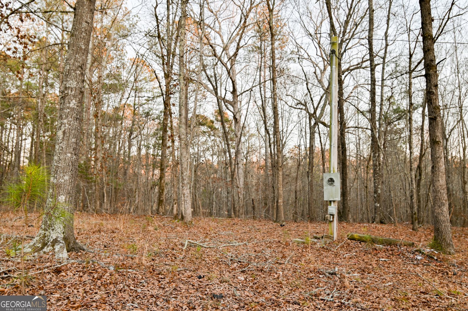 1208 Elberton Road Lexington - Photo 28