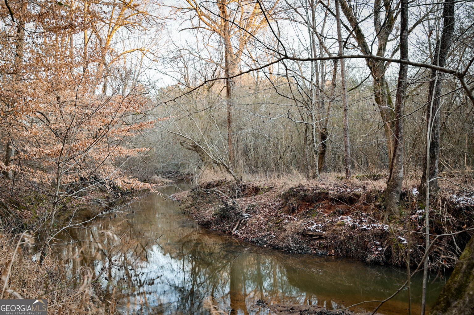 1208 Elberton Road Lexington - Photo 33
