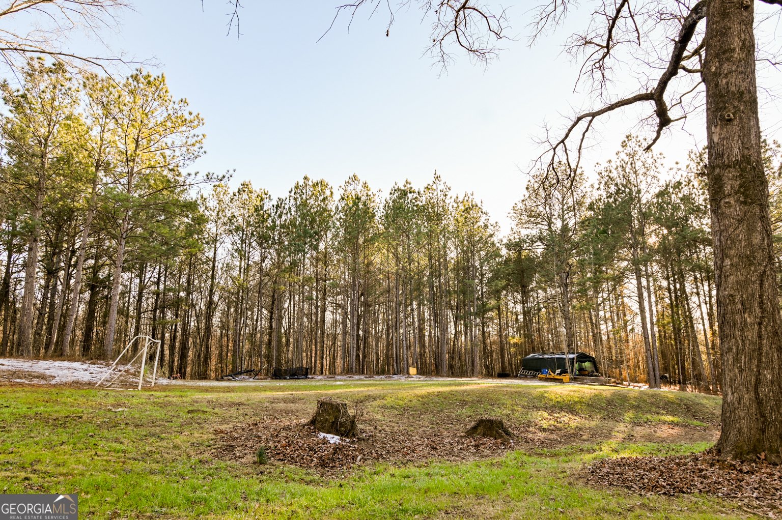 1208 Elberton Road Lexington - Photo 61