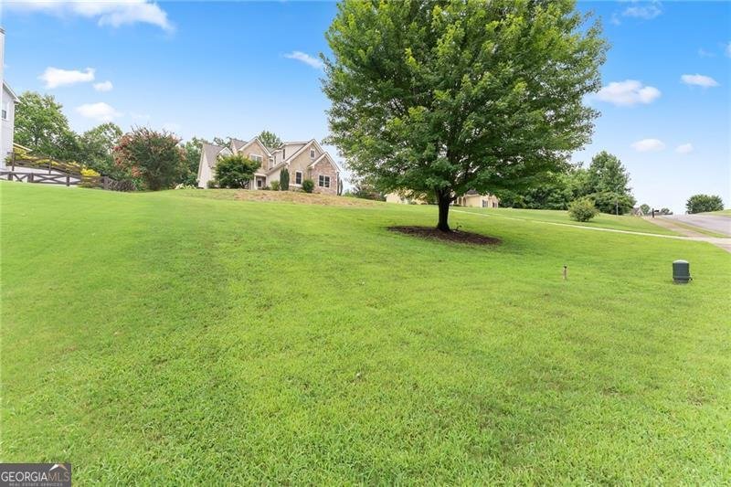 234 Morgan Lane Dawsonville - Photo 55