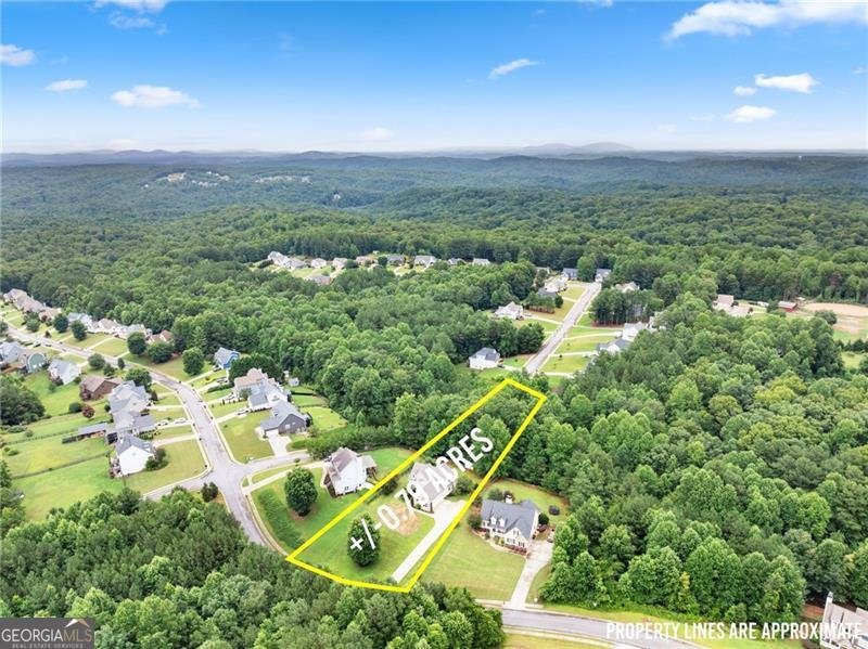 234 Morgan Lane Dawsonville - Photo 59