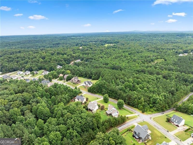 234 Morgan Lane Dawsonville - Photo 64