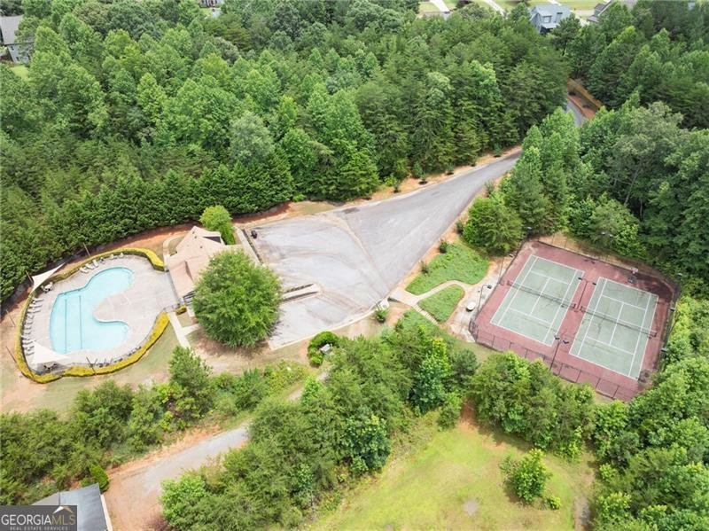 234 Morgan Lane Dawsonville - Photo 71