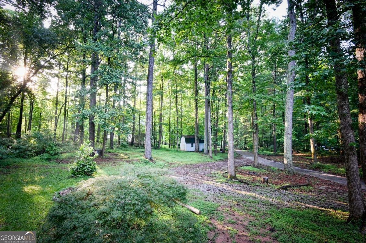 3545 Rock Falls Drive Snellville - Photo 10