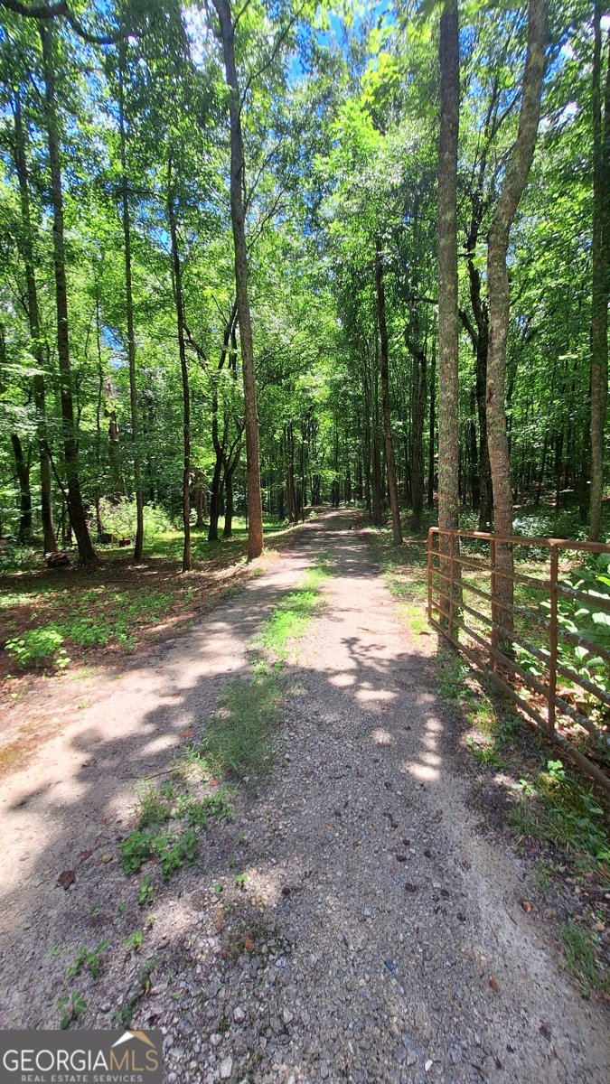 342 Spears Road Mansfield - Photo 15