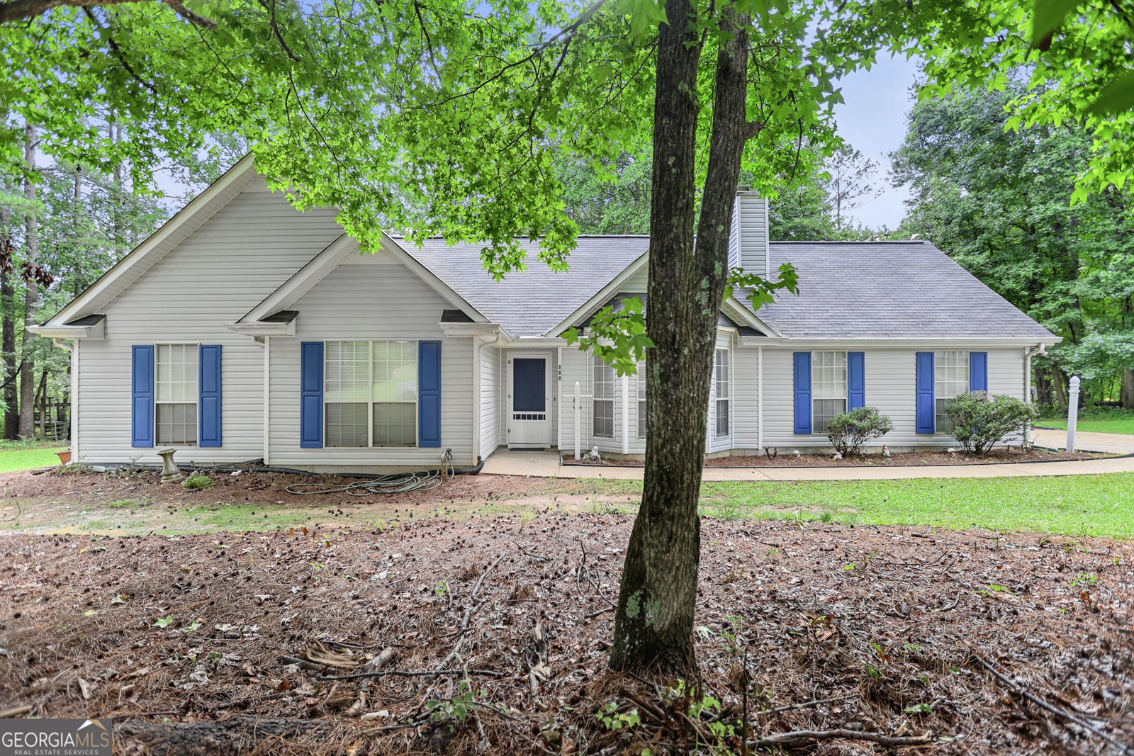 188 Widewater Drive Newnan - main photo